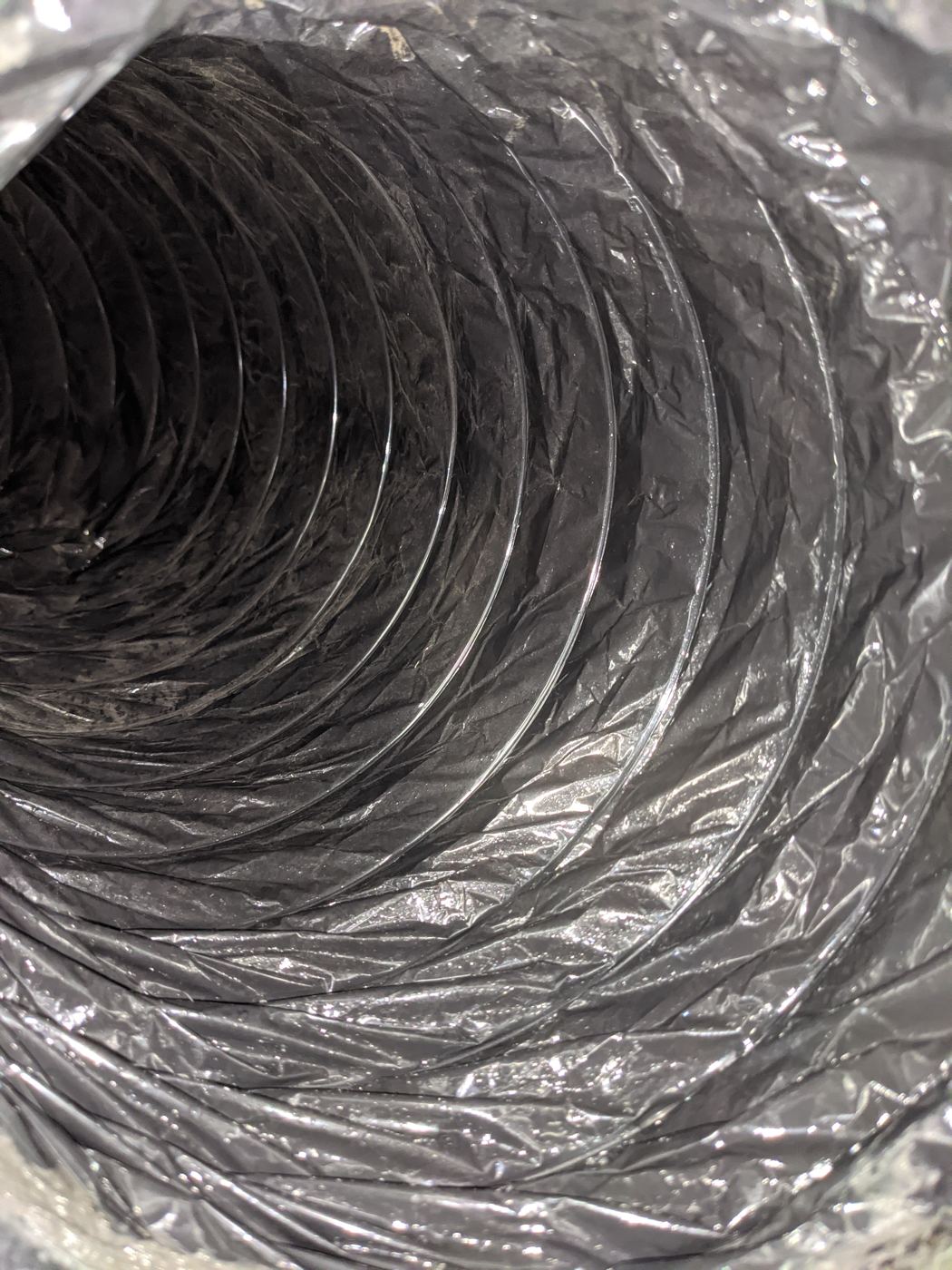 The same style of run after BrushBeast agitation and HEPA vacuum capture. This is what clean looks like.